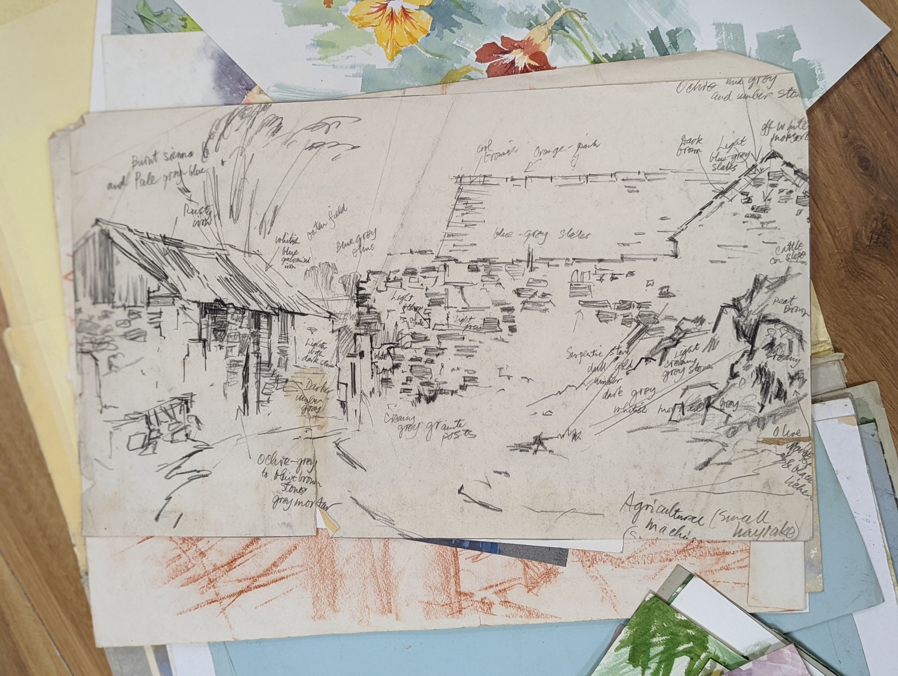 Michael Cadman (1920-2012), folio of assorted watercolours, Nature and botanical studies, largest 54 x 39cm
